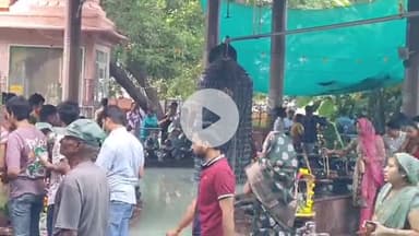 लाडपुरा: सावन के अंतिम सोमवार पर कोटा के शिवपुरी धाम में उमड़ा आस्था का सैलाब, खस्ताहाल पुलिया बनी परेशानी, लगे भोलेनाथ के जयकारे