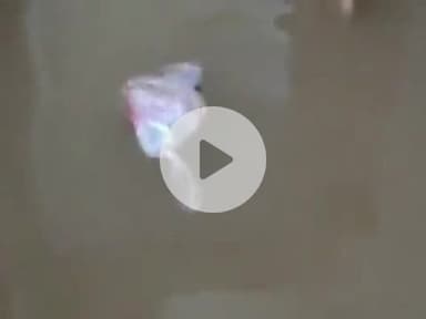 पूर्णिया पूर्व: पूर्णिया में बारिश से जन जीवन अस्तव्यस्त, समहरणालय सहित लोगों के घरों में घुसा पानी