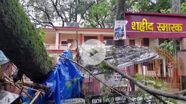 देहरादून: शहीद स्मारक परिसर में गिरा विशाल पेड़, बड़ा हादसा टला; वन विभाग की अनदेखी पर उठे सवाल