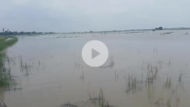बक्सर: ठोरा नदी के जलस्तर में वृद्धि के कारण करहंसी व देवस्थापुर का संपर्क टूटा, सड़क पर चढ़ा बाढ़ का पानी