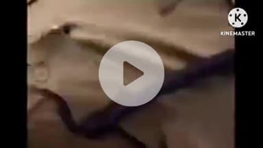 हुज़ूर: भोपाल: हथाईखेड़ा डैम में डूबने से एक युवक की मौत