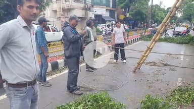 रामपुर: कलेक्ट्रेट के निकट जौहर रोड पर आँधी बारिश के कारण गिरा पेड़ और बिजली का पोल, विद्युत आपूर्ति हुई बाधित