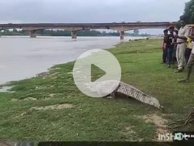 बहराइच: बेलवा भोपतपुर में घर में घुसा विशालकाय मगरमच्छ, कई घंटे तक चला रेस्क्यू, डीएफओ ने कहा- मगरमच्छ को नदी में छोड़ा गया