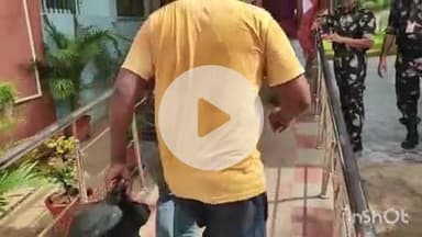 आरा: कडारी गांव स्थित घर में बिजली के पलक लगाने के दौरान करंट की चपेट में आने से बुजुर्ग महिला घायल, अस्पताल में कराया गया