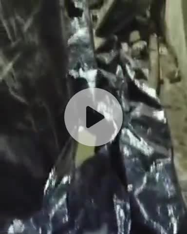 जगाधरी: पावर हाउस में बिल्डिंग से टपकते पानी से हादसे का डर, शिकायत पर भी नहीं हो रहा समाधान