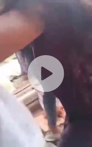 पूर्णिया पूर्व: पूर्णिया शहर के मरंगा के गंगेली गांव में जमीनी विवाद में दो पक्ष आपस में भिड़े, वीडियो हुआ वायरल