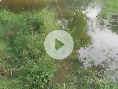 Bihar k ek jile begusara Ka ek Nagar Nigam Gaon.\nHai jismein badh ke kaaran Sabhi mauliwale Paresn Hai