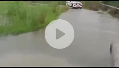 ऋषिकेश: रायवाला इलाके के गौहरी मांफी में पुलिस ने गंगा किनारे लोगों को सुरक्षित जगह जाने को कहा, गंगा का जलस्तर बढ़ रहा है