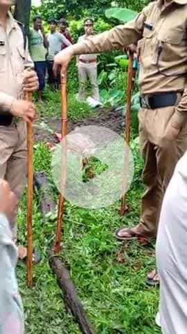 #उत्तराखंड #हल्द्वानी के #गोलापार में 
10 साल के बच्चे की दर्दनाक मौत 
बच्चों के धड़ से कर गायब कर दिया 
मुजरिम ने