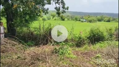 मालथोन: मालथौन में 45 हेक्टेयर वन भूमि से अतिक्रमण हटाया गया