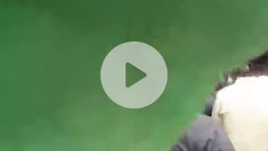 पूर्णिया पूर्व: पूर्णिया विश्वविद्यालय में छात्र राजद ने 12 सूत्री मांगों को लेकर किया घेराव, तालाबंदी की