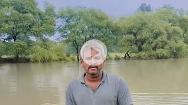 त्योंथर: त्योंथर विधानसभा: जवा तगहा गांव में पुल न होने से ग्रामीण परेशान, विधायक से लगाई मदद की गुहार #jansamasya