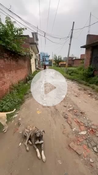 वार्ड संख्या 59 गांव भगवंतपुर थाना सी बी गंज राजा कैलोनी रेलवे क्रॉसिंग के पार भगवंतपुर गांव की सड़क का बुहत बुरा हाल है आने जने वाले को बुहत जाद्दा पारेसानी का सामना कर्ण होथा है