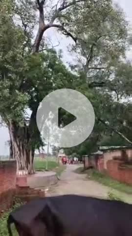 अमेठी: बेलखरी गांव में पीपल के पेड़ की भारी डाल गिरने से घर की दीवार टूटी, वीडियो हुआ वायरल