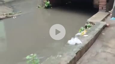 बरेली: सुभाष नगर क्षेत्र में भारी बारिश के कारण नाले हुए ओवरफ्लो, गलियों में हुआ जलभराव