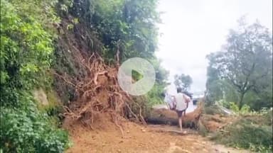 देहरादून: मसूरी में केंम्पटी फॉल मार्ग पर एक विशाल पेड़ गिरा, घंटों तक रहा मार्ग जाम