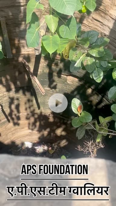 3 पहिने से डाली रही बिल्ली आज उसे बाहर निकाल लिया गया

Respect Girls help poor help animals 

#apsgurjar #gwalior