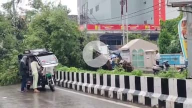 बरेली: बरेली में लगातार बारिश के कारण प्रेम नगर थाने से धर्म कांटा जाने वाले रोड पर गिरा पेड़