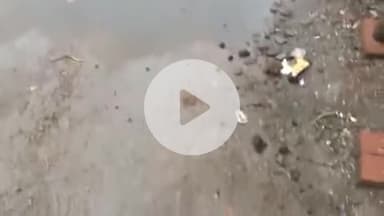 रामपुर: सैंजनी वाला मजा़र के पास हज़रत कालोनी में लगे गोबर के जमावड़े कि वजह से पानी बिलोक तत्काल साफ़ सफ़ाई कराने की कि मांग