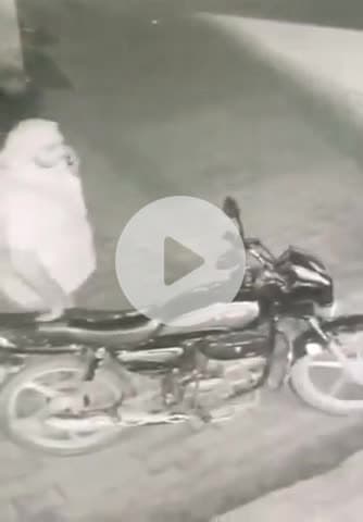 बद्दी: हिमाचल प्रदेश के औद्योगिक क्षेत्र बद्दी-बरोटीवाला में सोमवार रात एक नकाबपोश ने बाइक चुरा ली, घटना सीसीटीवी में कैद