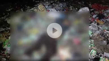 कोल: जमालपुर,रेलवे ट्रैक क्रॉस करते हुए युवक ट्रेन की चपेट में आया, हुई मौत,बीमार पिता को अस्पताल ले जा रहा था खाना