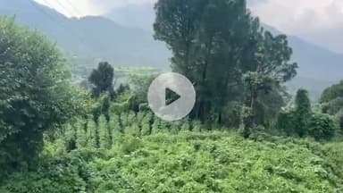 बद्दी: मित्र कीट कम होने से बीबीएन की उपजाऊ जमीन बंजर होती जा रही है