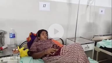 लोहरदगा: हेसल गांव में घास काटने गई युवती को जहरीले सांप ने डंसा, समय पर इलाज से बची जान