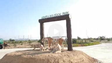 लाडपुरा: वन्य जीव प्रेमियों के लिए राजस्थान सरकार की मुहिम, कोटा में शेर, बाघ, लेपर्ड से लेकर मगरमच्छ तक को ले सकते हैं गोद