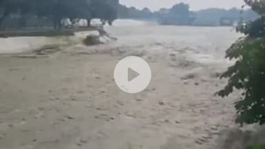 जगाधरी: दादूपुर हैड के पास युवक ने नहर में लगाई छलांग, पुलिस जांच में जुटी