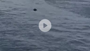 झालरापाटन: एक दिन पूर्व लापता युवक का मुंडेरी की कालीसिंध नदी में मिला शव, जांच में जुटी पुलिस