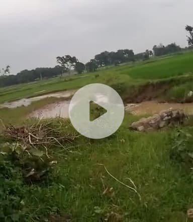 गढटोली गांव   का खेतों का नजरा#को देख के बहुत खुश कहेकी सब साल से﻿@ इस साल#बहुत ही आधार्मिक मुझे नहीं था लेकिन इस तरह की