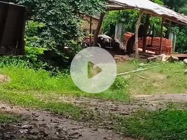 लंभुआ: चांदा क्षेत्र के छतौना कला में वन विभाग ने अवैध आरा मशीन को उखड़वाया