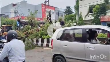 बरेली: प्रेम नगर थाना क्षेत्र के सूद धर्म कांटे में भारी बरसात के बाद गिरा पेड़