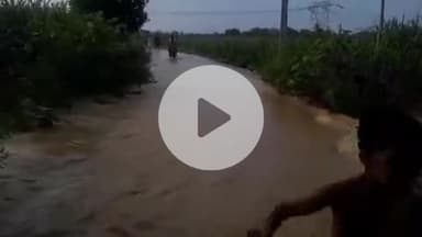 लक्सर: लक्सर के कासमपुर नवादा गांव की सड़क पर भरे पानी से ग्रामीण घरों में कैद, मुख्यालय तक नहीं पहुंच पा रहे लोग