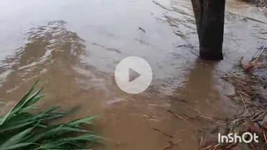 मुंगेर: जिले में बाढ़ के पानी में डूबने से दो लोगों की मौत, एक मायागंज अस्पताल रेफर