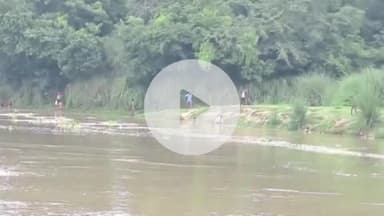 लंभुआ: करोमी से लेकर कुछमुछ तक गोमती नदी में जहरीले पानी से मर रही मछलियां, ग्रामीण कर रहे हैं शिकार; जांच के लिए बुलाई गई टीम