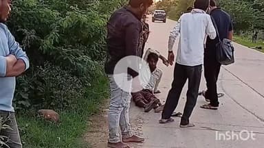 त्योंथर: बघेड़ी में कुत्ते से टकराकर फिसली बाइक, 3 युवक हुए घायल; अस्पताल में कराया गया भर्ती