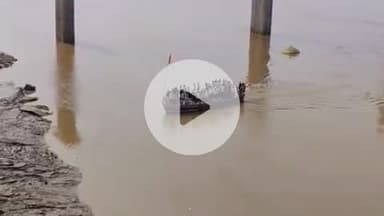 बाह: पिनाहट चंबल घाट पर 15 दिन बाद स्टीमर संचालन हुआ शुरू, कीचड़ से जूझते रहे यात्री