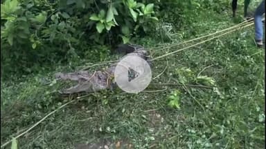 શિનોર: સુરા સામળથી માંડવા જવાના રસ્તે 15 ફૂટના મહાકાય મગર નુ દિલઘડક રેસક્યુ કરાયું