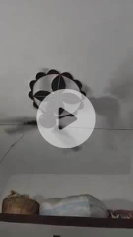 danger sin or viral trending #viral #trending #tekari @tekari viral best