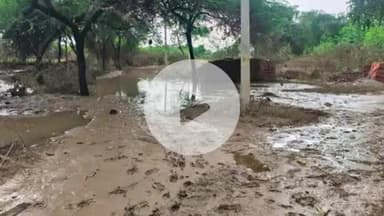 घाटमपुर: घाटमपुर में यमुना का जलस्तर घटा, बाढ़ प्रभावित गांवों में शुरू होगा सफाई अभियान