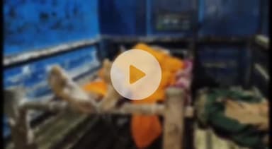 बेगूसराय: बेगूसराय में करंट लगने से एक व्यक्ति की मौत, परिजनों में कोहराम, पुलिस जांच में जुटी