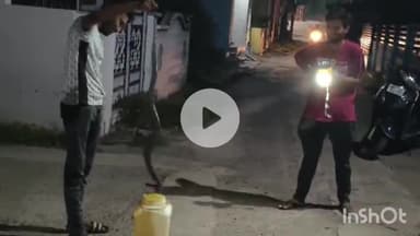 धरमपुरी: ओंकार कॉलोनी में कोबरा सांप आने से हड़कंप, सर्प मित्रों ने रेस्क्यू कर जंगल में छोड़ा, लोगों ने दिया धन्यवाद