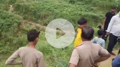 बाह: पिनाहट में तीन दिन में 9 मवेशियों पर हुआ हमला, गांवों में फैली दहशत