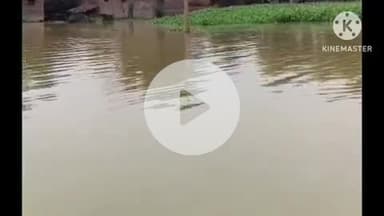 बक्सर: गंगा में बाढ़ से जिले के 5 प्रखंडों के 22 गांवों में जनजीवन प्रभावित, प्रशासन ने 29 नावें कराईं उपलब्ध