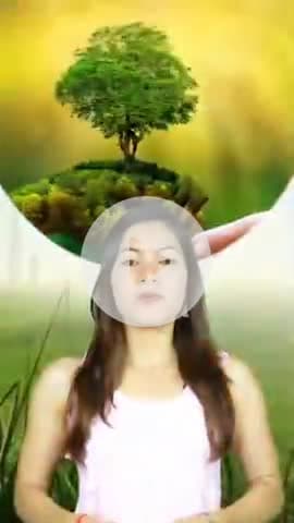 प्रकति को बचाये मामून शाह 
पेड़ लगाये