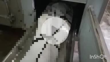 बहराइच: प्रधानपुरवा गांव में संदिग्ध परिस्थितियों में युवती का शव फंदे से लटकता मिला, पुलिस जांच में जुटी