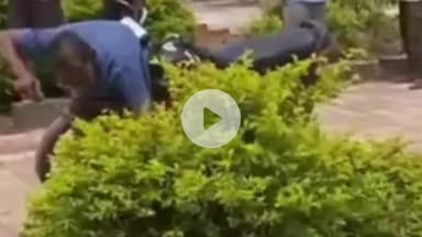 શિનોર: જિલ્લામાં 2000થી વધુ સાપોનું રેસ્કયુ કરનારનું સર્પ દંશ થી સારવાર દરમિયાન મોત, શિનોર તાલુકો શોકમગ્ન.