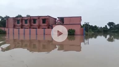 आरा: आरा प्रखंड के दर्जनों गांवों में घुसा बाढ़ का पानी, कडरा, बसंतपुर, डुमरा के किसानों की फसल डूबी