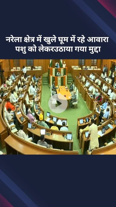 सरस्वती विहार: नरेला में आवारा पशुओं का मुद्दा BJP विधायक राजकरण खत्री ने सदन में उठाया